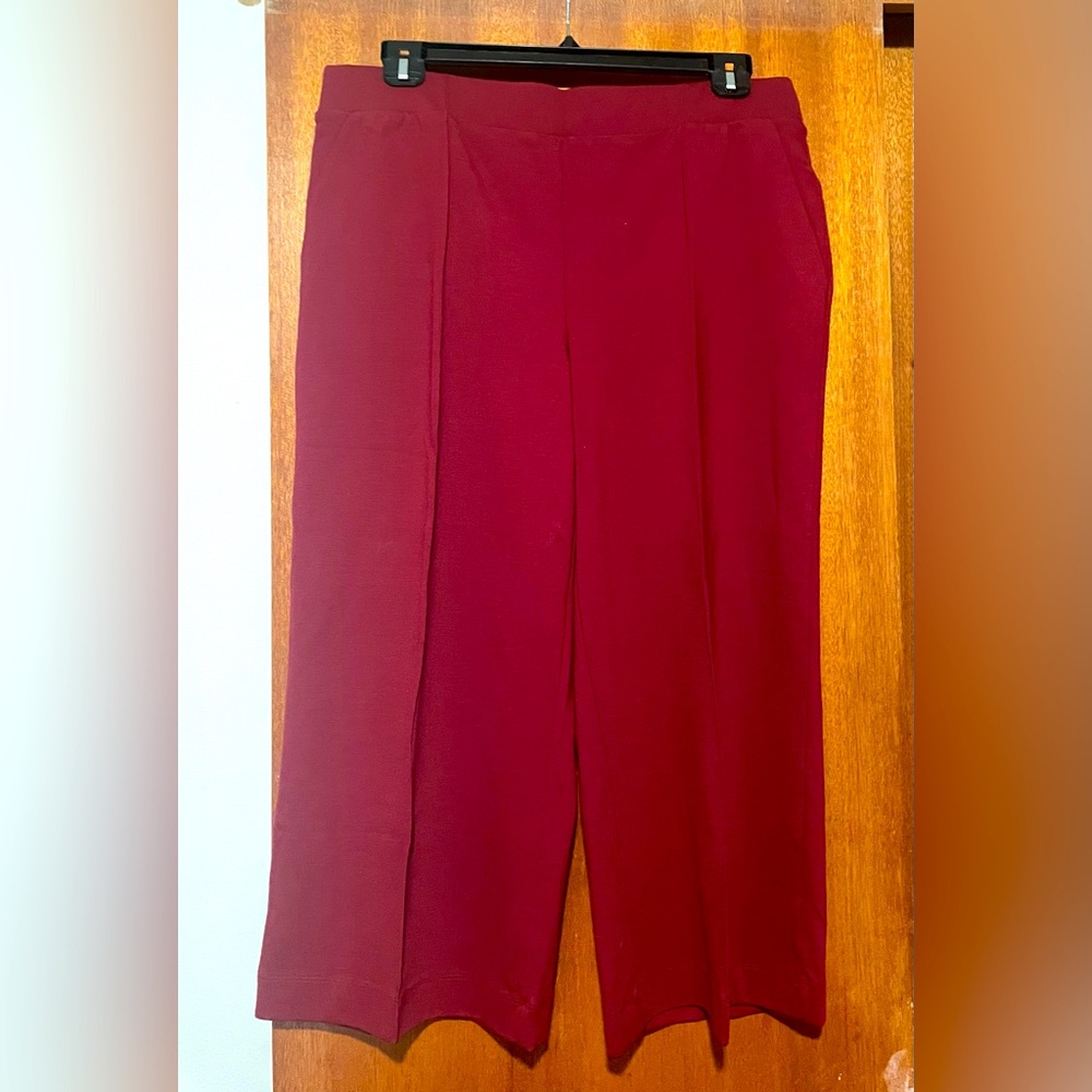 J Jason Wu Wide Leg Gaucho pant. Cabernet color, Sz L, NWOT